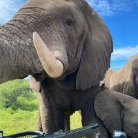 Derek Watts (@derekwatts) 's Twitter Profile Photo Derek Watts (@derekwatts) 's Twitter Profile Photo