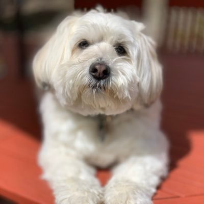 nanyiren's profile picture. 