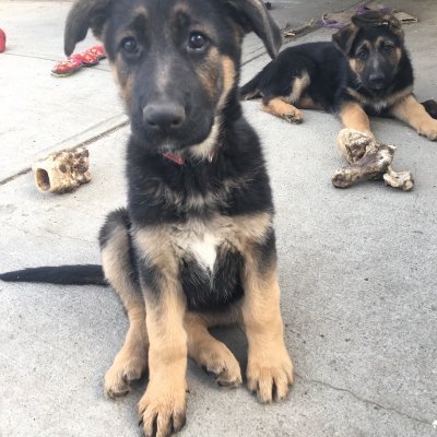 TradingTime5's profile picture. Car guy