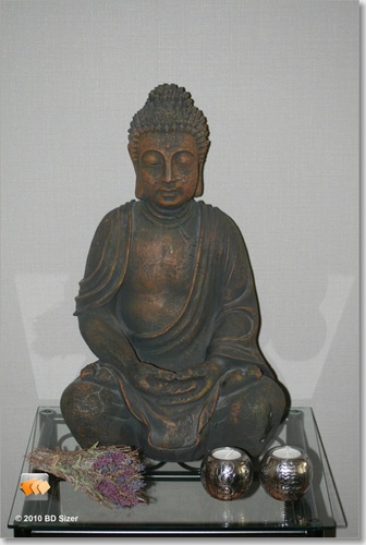 lemmen_toos's profile picture. 