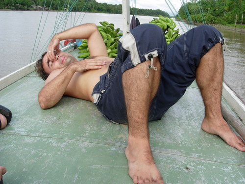 pelikolio's profile picture. 