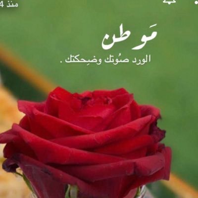 انا أفعل مايناسبني وتفعل أنت مايناسبك 
لم آتِ لهذه الدنيا لاأحقق توقعاتك 
ولَم تأت لهذه الدنيا لتحقق توقعاتي 
أنت أنت .. وأنا أنا