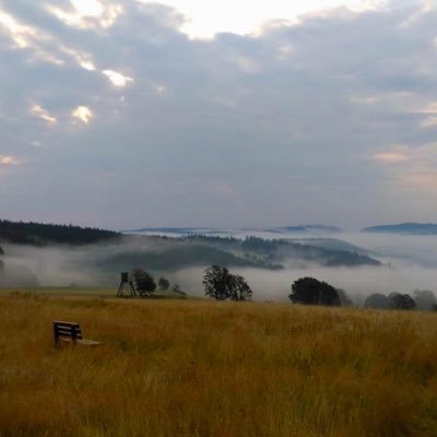 Andreas77950232's profile picture. 