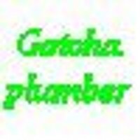 Gotchaplumber (@gotchaplumber) 's Twitter Profile