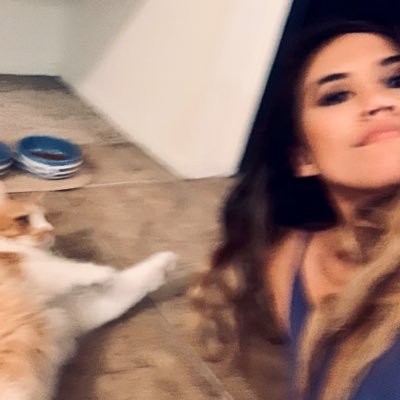 brrravoh's profile picture. all I think abt are cats and penguins