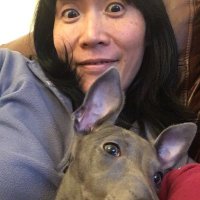 Yi Feng (@yifeng_fishlab) 's Twitter Profile Photo Yi Feng (@yifeng_fishlab) 's Twitter Profile Photo
