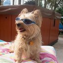 Joyce Kays - @jakz717 - Twitter