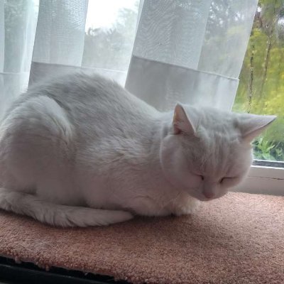 RoyalTe64235307's profile picture. They/Them