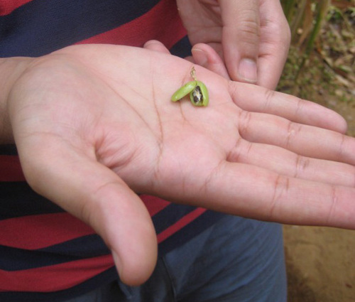 mymonstermunch's profile picture. A food addicted Londoner, I rove the streets looking for the next tasty treat.   Follow me if youre a food addict. .