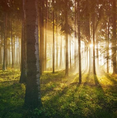 DijkstraPa's profile picture. 