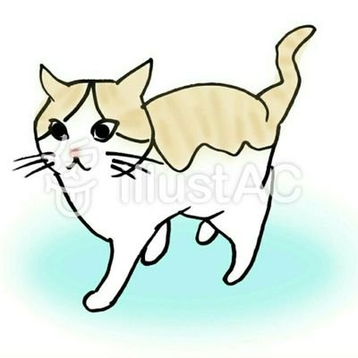 narutomotomo's profile picture. 愛猫なる♂は、何とかなるなるのなる。出会った2１年前の大晦日の日に、茶碗蒸しのなると🍥に食いついた事からも