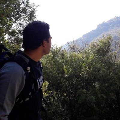 _prozaki's profile picture. Anaesthetist, POCUS Enthusiast, Dog Person...