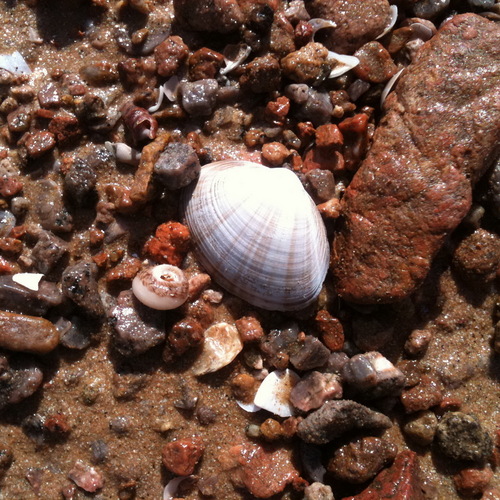 Violet_Bai's profile picture. 