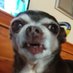 Donna reed (@lickplatereed) Twitter profile photo Donna reed (@lickplatereed) Twitter profile photo