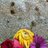 MatiasAlonso_2's profile image