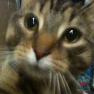 AmylouMott's profile picture. I'm pretty great.