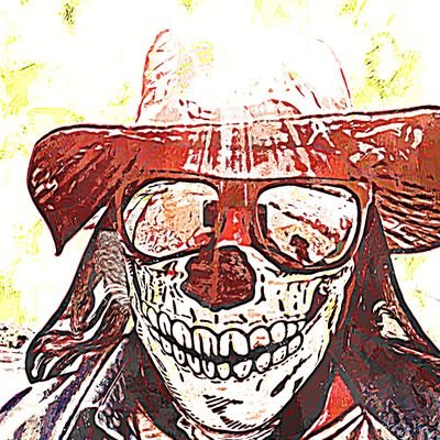 skul_and_crow's profile picture. El mal tiempo pasará, es sólo una fase.