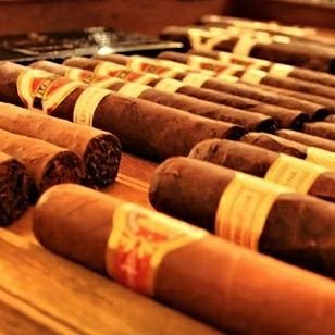 Nyikontsa1's profile picture. Safety and well-being it's our priority