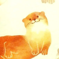 あやこ(@aya_jcr) 's Twitter Profile Photo