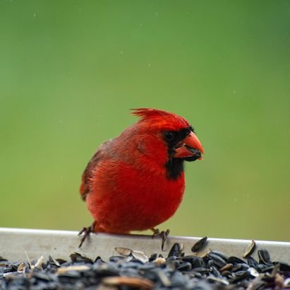 Bert31809366's profile picture. Photo Art Enthusiast