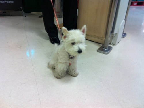 filmnpizza's profile picture. 오함마 제작