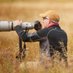 Stookey Photography (@stookeypics) Twitter profile photo Stookey Photography (@stookeypics) Twitter profile photo