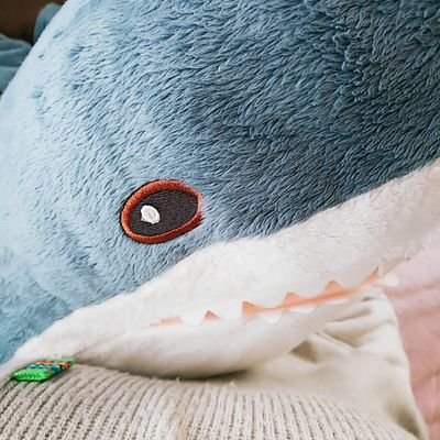 🦈IKEAのサメがいます🦈