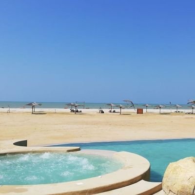 Almaflo2578's profile picture. 