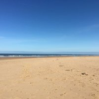 Diane Simpson (@disimpso) 's Twitter Profile