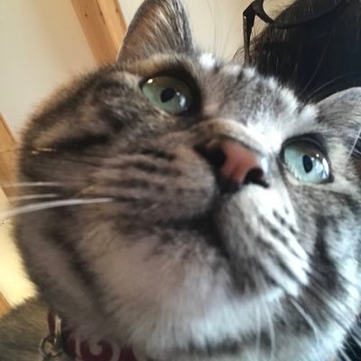 yamapochiさんのプロフィール画像