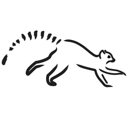 PMMV Profile