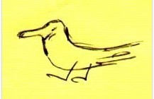 hdfeiner's profile picture. professional Watcher