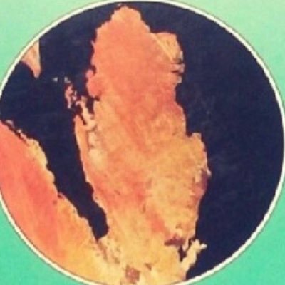 alkuwariknk's profile picture. 