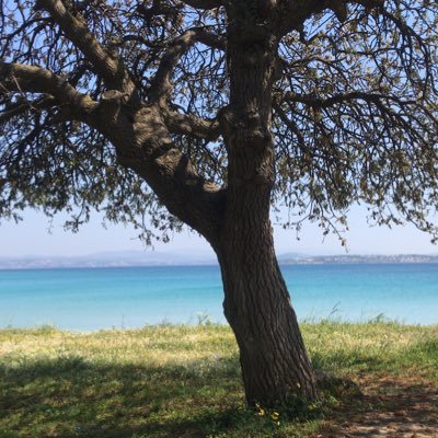 kullar kulaktan kulağa gıybet kargosu;Her yere teslim.