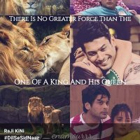 real sankalp (sidnaaz) (@realsankalp03) 's Twitter Profile