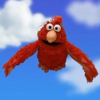 Father to a toolmaker’s son (@theelmobird) 's Twitter Profile Photo Father to a toolmaker’s son (@theelmobird) 's Twitter Profile Photo