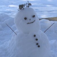 Mittzy (@mittzyac) 's Twitter Profile
