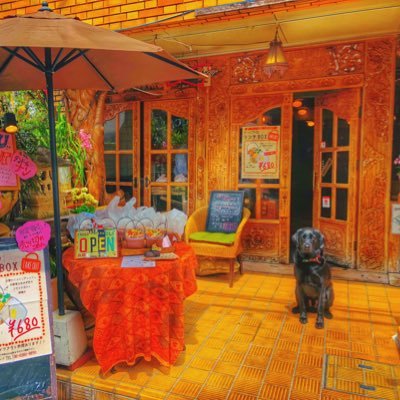 capecod_1982's profile picture. 関西大学前で創業40年👨‍🍳本場インドネシアの料理人の作る多国籍料理をお楽しみください🍴自家製ケーキも多数ご用意しております！【定休日☞水曜日】予約・お問い合わせはお電話にて承ります。📞06-6380-8890