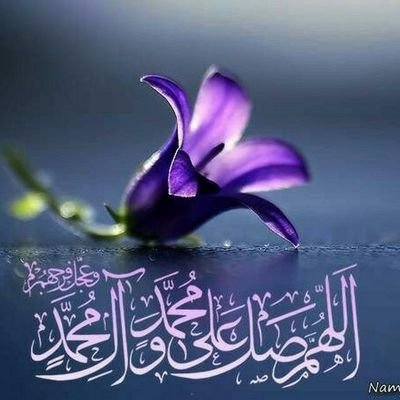 somayeisf's profile picture. Engineer IF