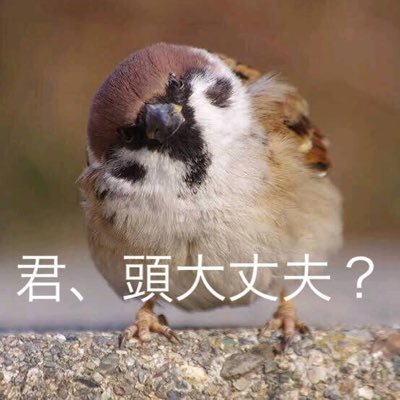 VBEfT1SdB2rtpcJ's profile picture. 2020年の4月14日の火曜日6時53分に取りました