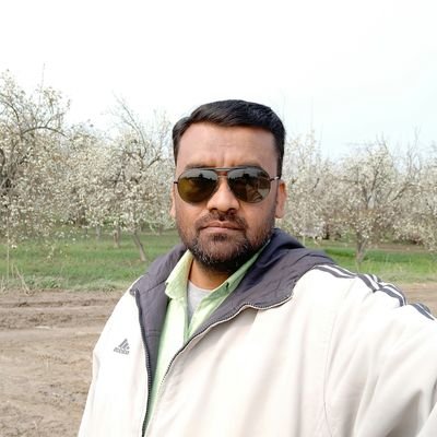 Abidali75238143's profile picture. 