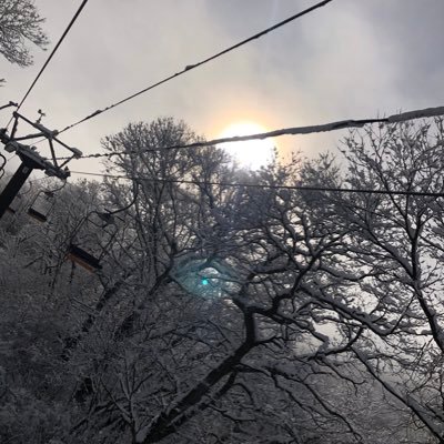 c0h3i0b9a_mm's profile picture. LJK/ 千葉雄大 / 松丸亮吾 /アルペンスキー ヤー 無言フォロー失礼します。推し好きな人と繋がりたい！！