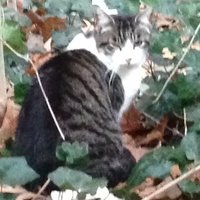 ABMilamalfi (@abmilamalfi) 's Twitter Profile