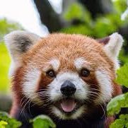 おが (@ogagaogao1) 's Twitter Profile Photo