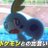 ゆっくりわしさんのアイコン