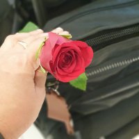 Rana Hussein (@5bf7f07e8f25455) 's Twitter Profile