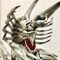 かるかろ (@s_carcharodon) 's Twitter Profile