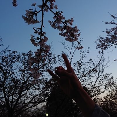 7さんのプロフィール画像