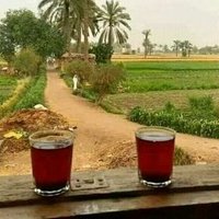 Hatem حاتم (@yaseen91730134) 's Twitter Profile Photo Hatem حاتم (@yaseen91730134) 's Twitter Profile Photo