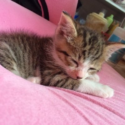 yukiさんのプロフィール画像